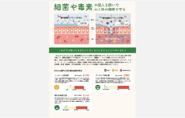 視覚的に理解しやすいレポート構成